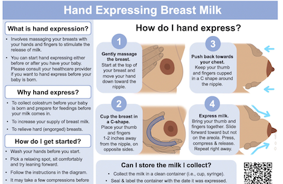 Partial screenshot of Hand Expressing Infographic from the MILK Study