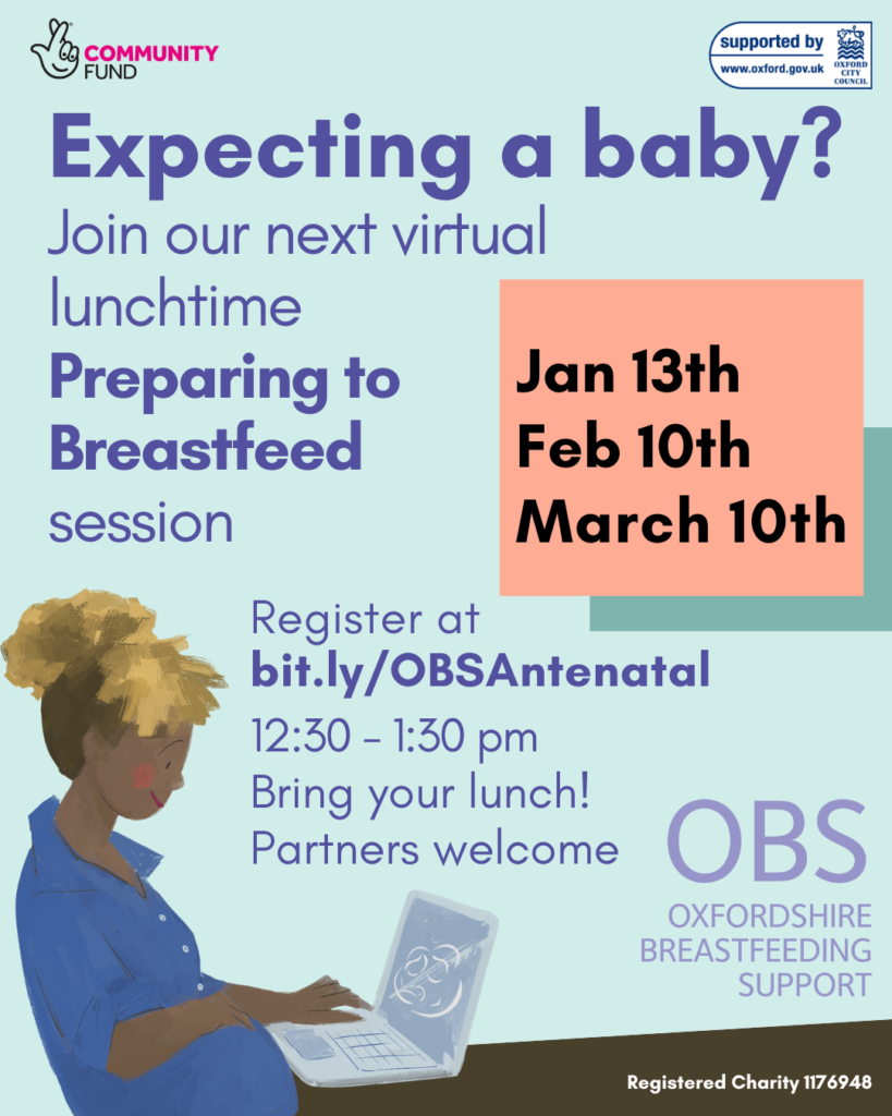 A cartoon pregnant woman sitting at her laptop. Text: Expecting a baby? Join our next virtual lunchtime Preparing to Breastfeed session. January 13th, February 10th, March 10th, 12:30 - 1:30 pm. Bring your lunch. Partners welcome.